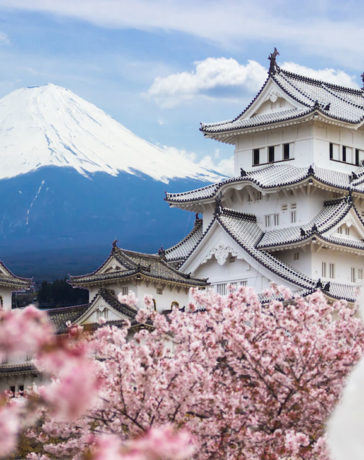study in japan wth algoos
